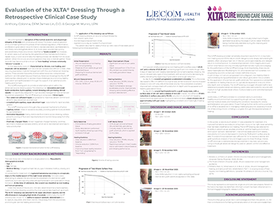 Evaluation of the XLTA® Dressing Through a<br />
Retrospective Clinical Case Study